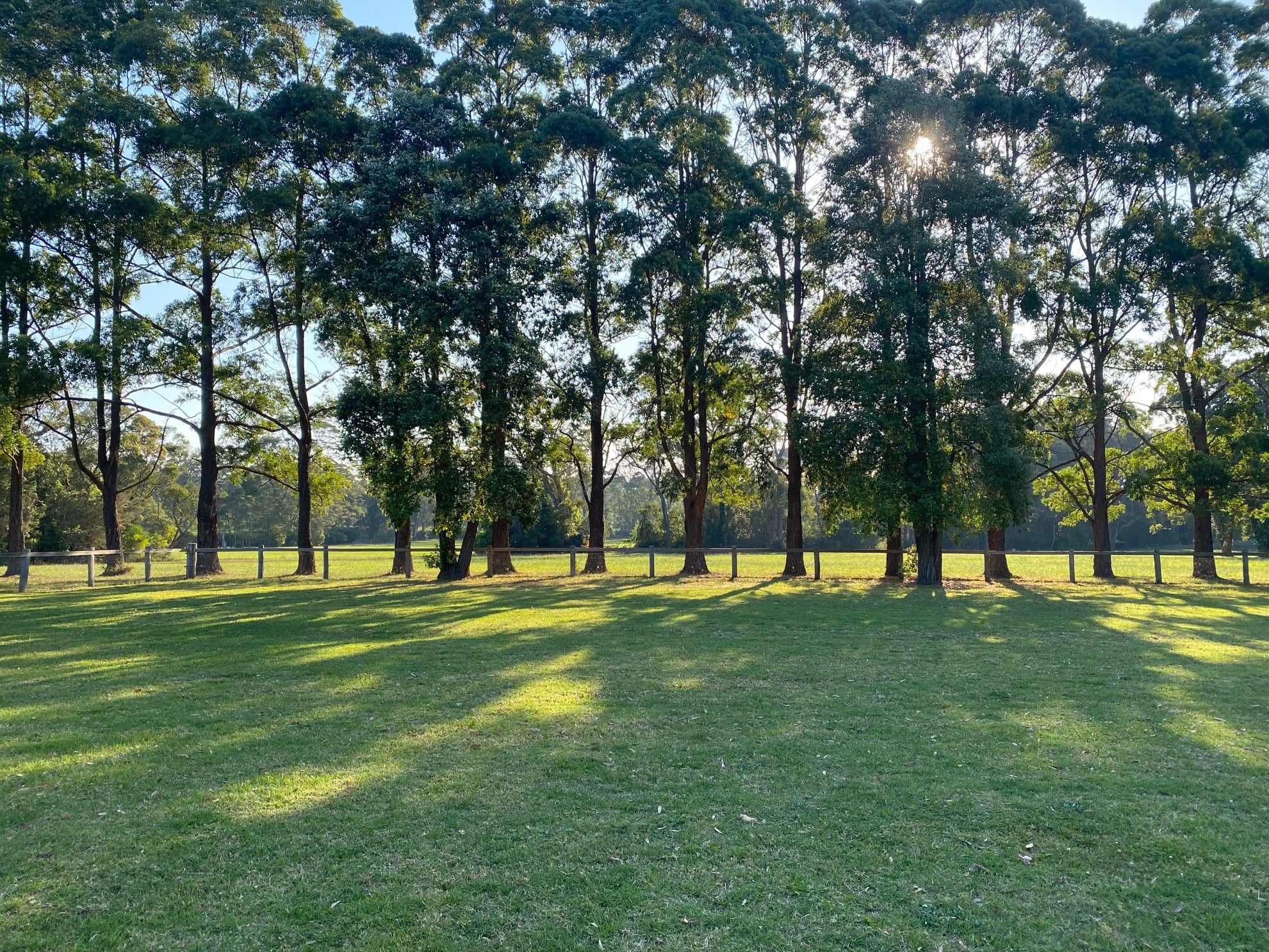 Doggy Daycare Somersby, NSW
